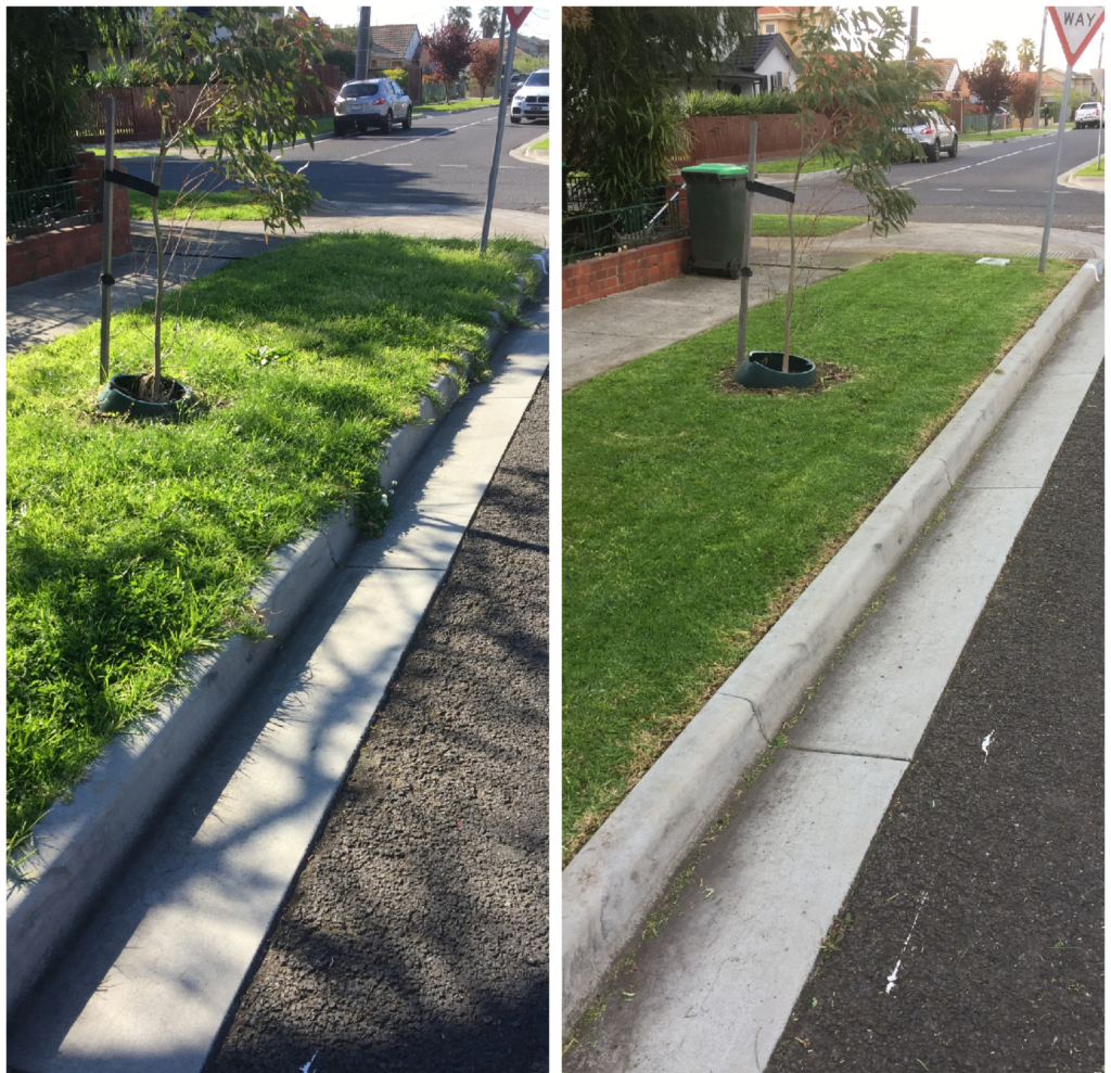 before after 1
