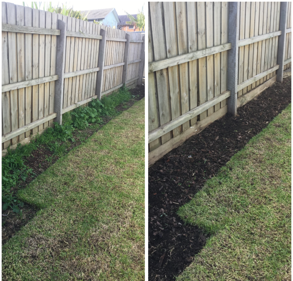 before after 3