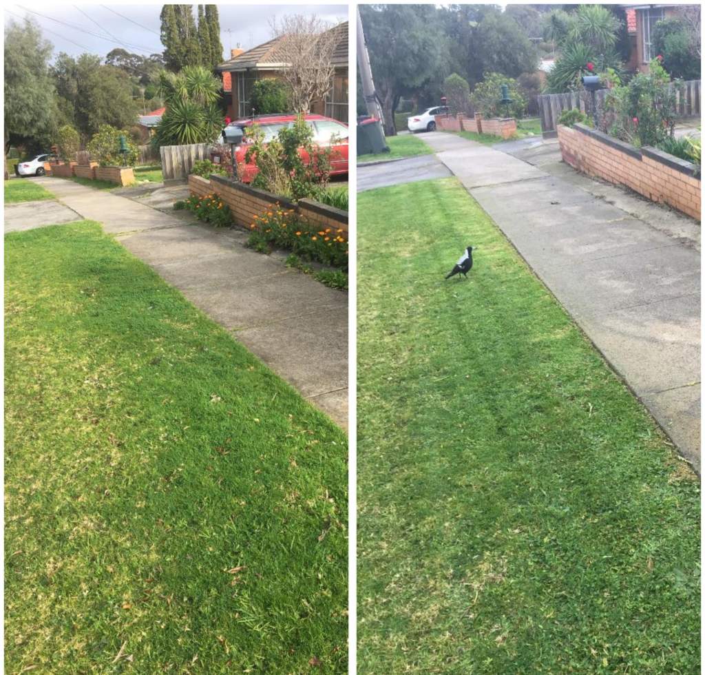 before after 4
