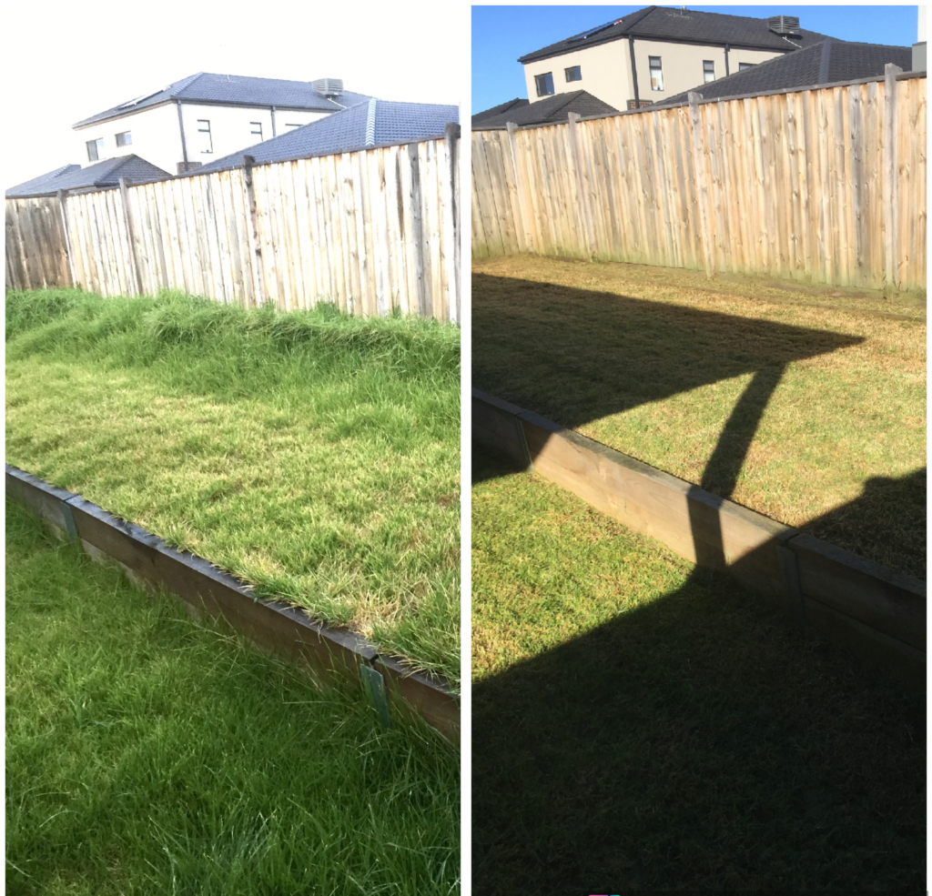 before after 5
